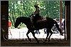 QH061_0763n.jpg(41,7 KB)