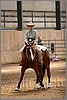 QH061_0767n.jpg(34,5 KB)