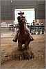 QH061_0773n.jpg(33,5 KB)