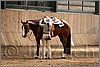 QH061_0774n.jpg(38,9 KB)