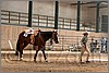 QH061_0775n.jpg(42,4 KB)