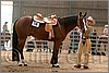 QH061_0776n.jpg(37,3 KB)