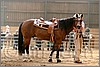 QH061_0795n.jpg(37,1 KB)