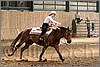 QH061_0796n.jpg(39,3 KB)