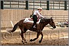 QH061_0797n.jpg(38,8 KB)