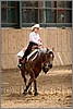 QH061_0798n.jpg(36,7 KB)