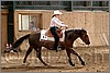 QH061_0808n.jpg(36,6 KB)