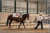 QH061_0824n.jpg(40,9 KB)