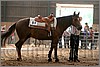 QH061_0825n.jpg(37,2 KB)