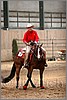 QH061_0834n.jpg(36,5 KB)