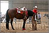 QH061_0836n.jpg(35,0 KB)