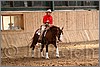 QH061_0859n.jpg(41,5 KB)