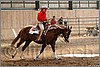 QH061_0860n.jpg(39,9 KB)