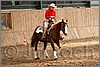 QH061_0861n.jpg(41,8 KB)