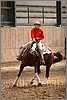 QH061_0863n.jpg(37,8 KB)