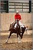 QH061_0864n.jpg(37,9 KB)