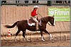 QH061_0869n.jpg(39,8 KB)