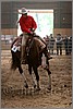 QH061_0872n.jpg(36,5 KB)