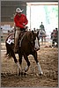 QH061_0875n.jpg(35,5 KB)