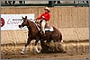 QH061_0882n.jpg(42,1 KB)