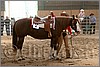 QH061_0884n.jpg(39,3 KB)