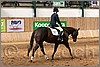 QH061_0901n.jpg(43,3 KB)