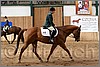 QH061_0903n.jpg(39,2 KB)