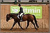 QH061_0909n.jpg(37,7 KB)