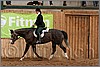 QH061_0910n.jpg(38,7 KB)