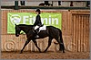 QH061_0911n.jpg(37,5 KB)
