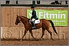 QH061_0912n.jpg(38,7 KB)