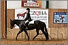 QH061_0914n.jpg(43,0 KB)