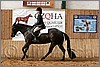 QH061_0920n.jpg(43,2 KB)