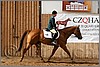 QH061_0925n.jpg(42,6 KB)