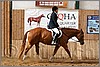 QH061_0926n.jpg(43,3 KB)