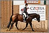 QH061_0927n.jpg(41,9 KB)