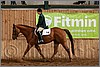 QH061_0951n.jpg(39,4 KB)