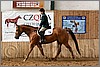QH061_0952n.jpg(44,2 KB)