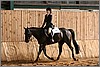 QH061_0959n.jpg(42,4 KB)