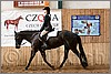 QH061_0962n.jpg(43,3 KB)