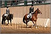 QH061_0965n.jpg(42,6 KB)
