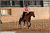 QH061_0992n.jpg(40,3 KB)