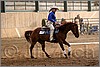QH061_1006n.jpg(37,9 KB)