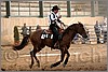 QH061_1022n.jpg(38,0 KB)