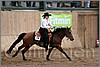 QH061_1038n.jpg(32,4 KB)