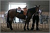 QH061_1046n.jpg(31,1 KB)