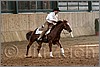 QH061_1055n.jpg(38,9 KB)
