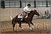 QH061_1056n.jpg(38,6 KB)