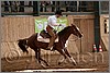 QH061_1059n.jpg(36,9 KB)