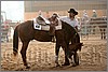 QH061_1066n.jpg(35,9 KB)